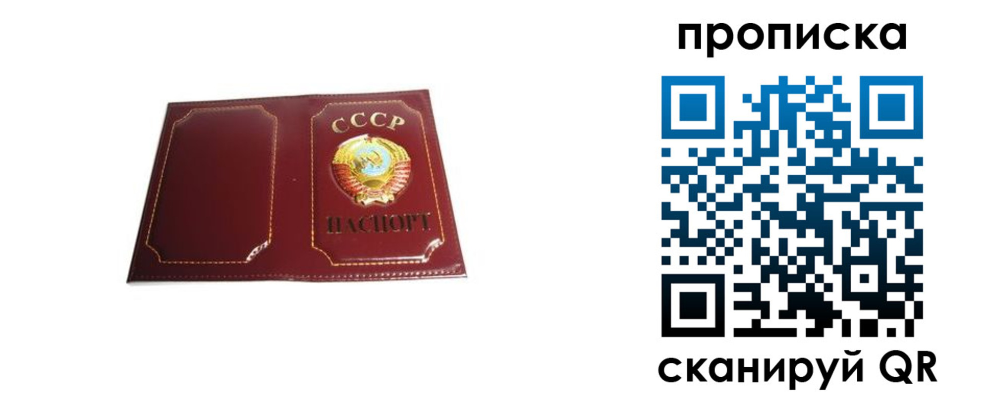 прописка гарантия в Большом Камне